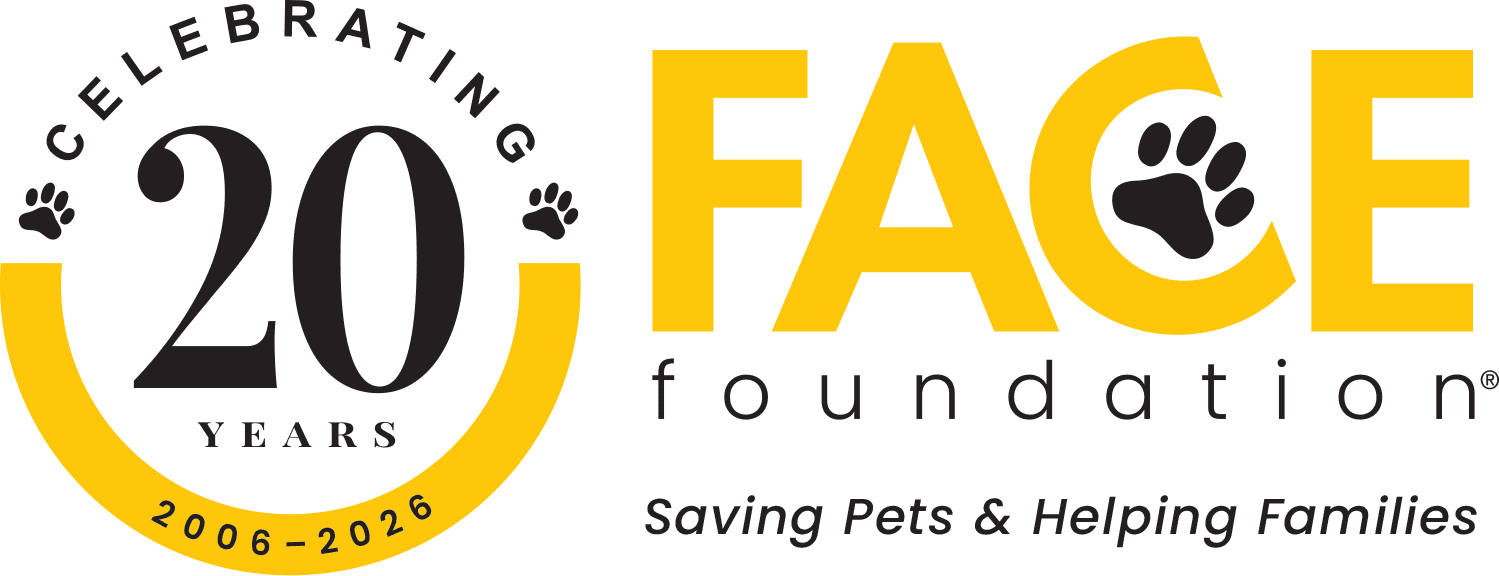 FACE Foundation